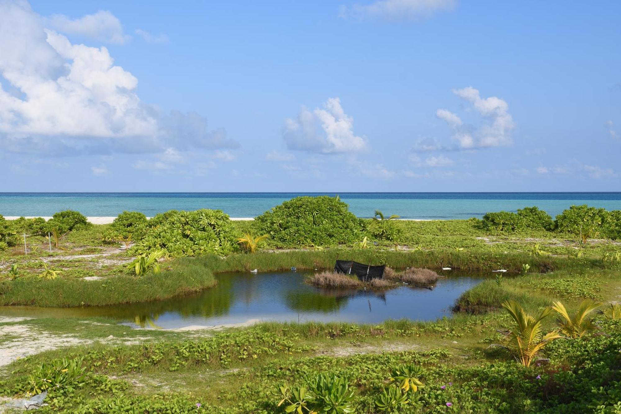 Empyrean Stay, Maldives Thulusdhoo Exterior foto